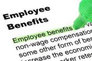 The Word Employee Benefits Highlighted in a Book - Kathbern Management Toronto Recruitment Agency