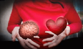 A person holding a brain and a heart in their hands - Kathbern Management Toronto Recruiting Agency